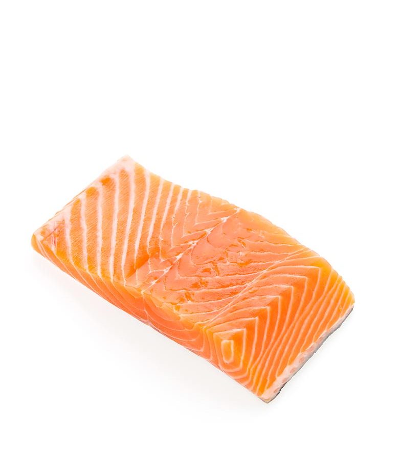 Salmon