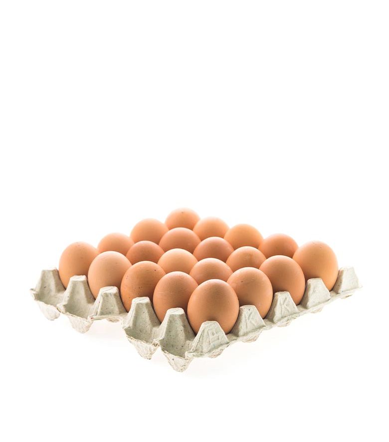 Eggs