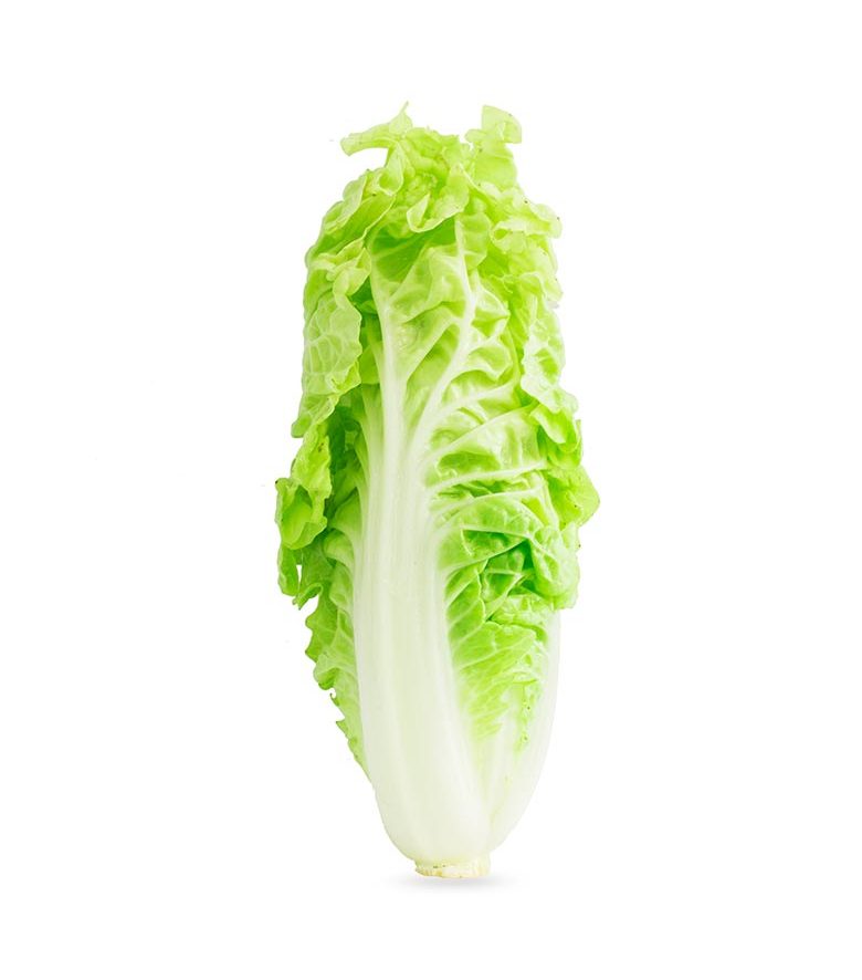 Cabbage