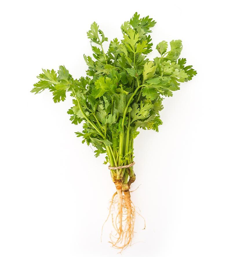 Parsley