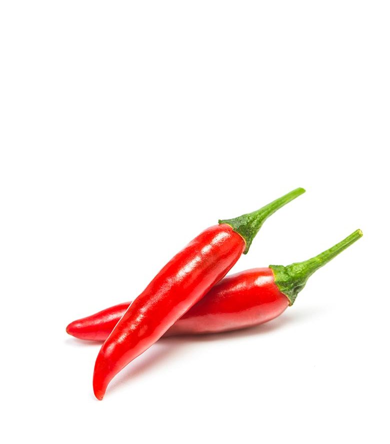 Chili pepper