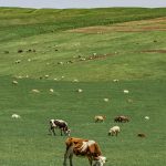 Hello World Featured Image