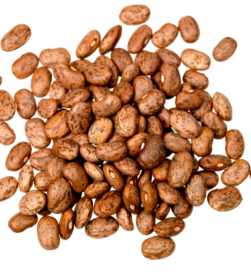 Pinto Beans