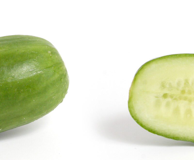 Cucumber