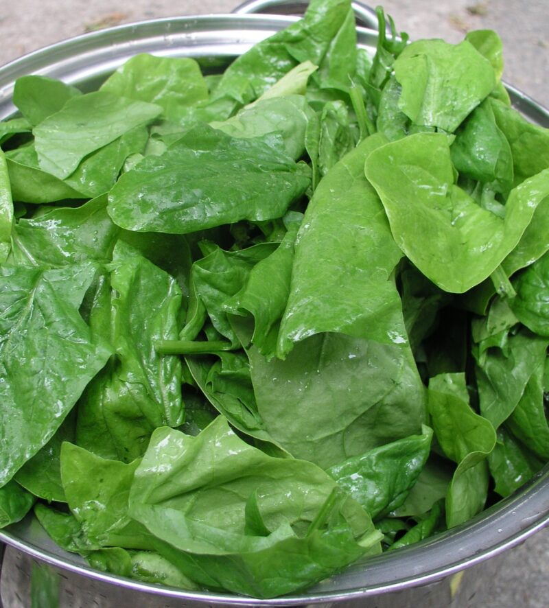 Spinach