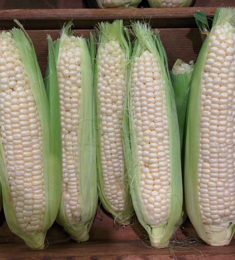 White Corn